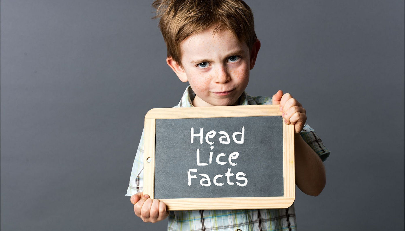 Head Lice Facts: Your Comprehensive Guide - Head Lice Articles from Schooltime Head Lice Treatment Products